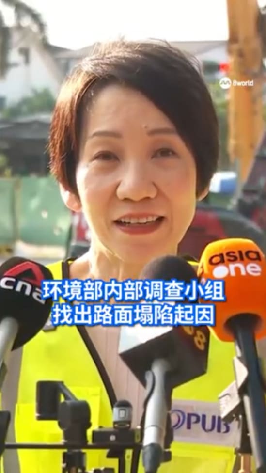 傅海燕：环境部成立内部调查小组