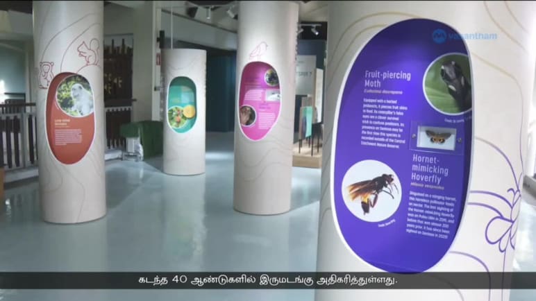 செந்தோசாவில் உழவாரன் பறவைகள்