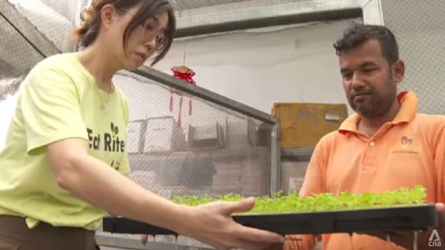 美伊冲突推高成本 本地蔬菜价格未来半年或涨一成