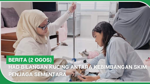 BERITA (2 Ogos) | Had bilangan kucing antara kebimbangan skim penjaga sementara