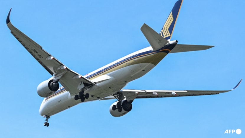 US passenger sues Singapore Airlines, claims allergic reaction to shrimp meal