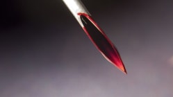 Related article image