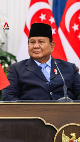 Indonesia and Singapore will resolve differences 'as friends': Prabowo