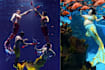 There's A Mermaid Diving World Cup, And A S'porean Competed In It
