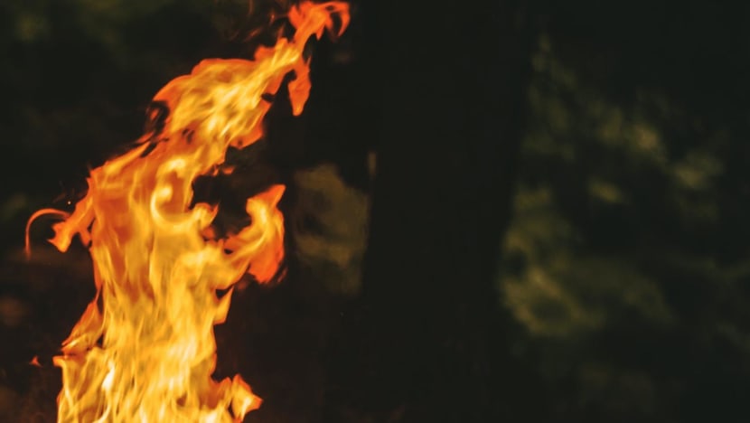 Man convicted of mischief after burning 4 Singapore flags, his own shorts in Sembawang and walking home naked Man convicted of mischief after burning 4 Singapore flags, his own shorts in Sembawang and walking home naked