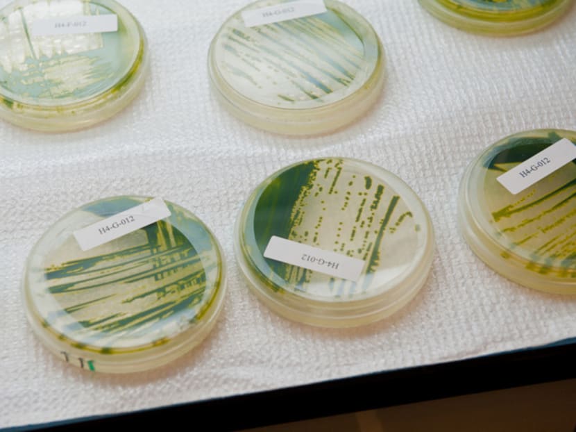 Experiments that work: How top beauty brand Algenist came to be