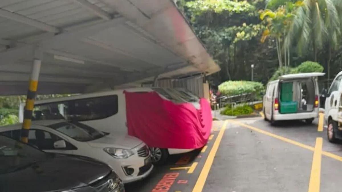 Woman arrested for suspected involvement in spray painting ‘offensive words’ on Salvation Army premises