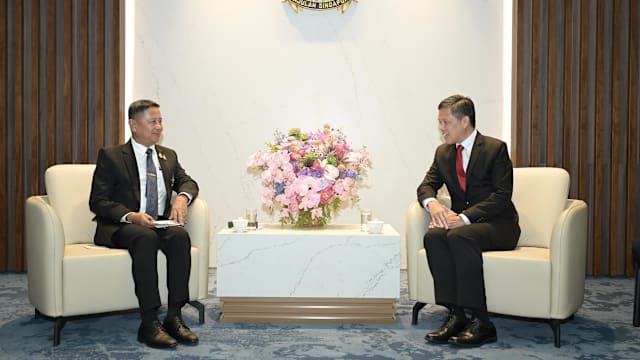 泰国防长阿敦访新  新泰深化防务合作