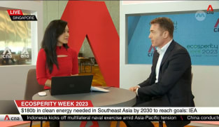 Southeast Asia facing unique challenges within its energy and nature sectors: Bain