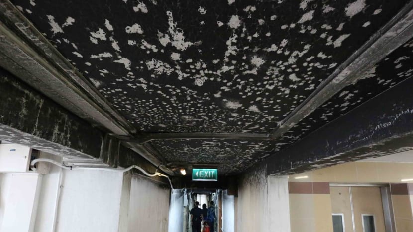 'He would endure everything and always push through': SCDF trainer on NSF firefighter who died from Henderson Road blaze