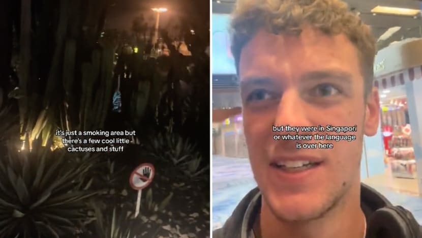 #trending: Tourist at Changi Airport says local language is 'Singapori', sparking playful online banter