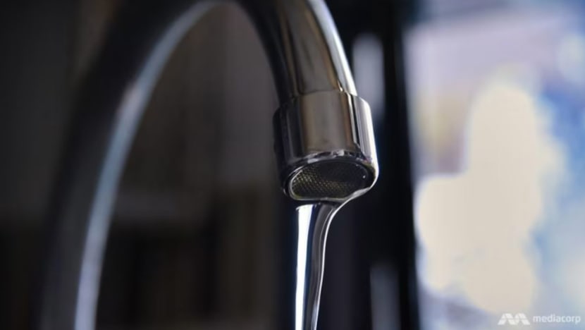 Air paip SG selamat diminum, tidak perlukan penapis tambahan: PUB