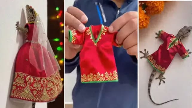 Gambar Pilihan Hari Ini