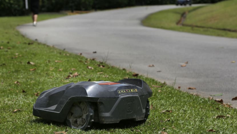 Grass-cutting goes automatic during NParks trial at public gardens