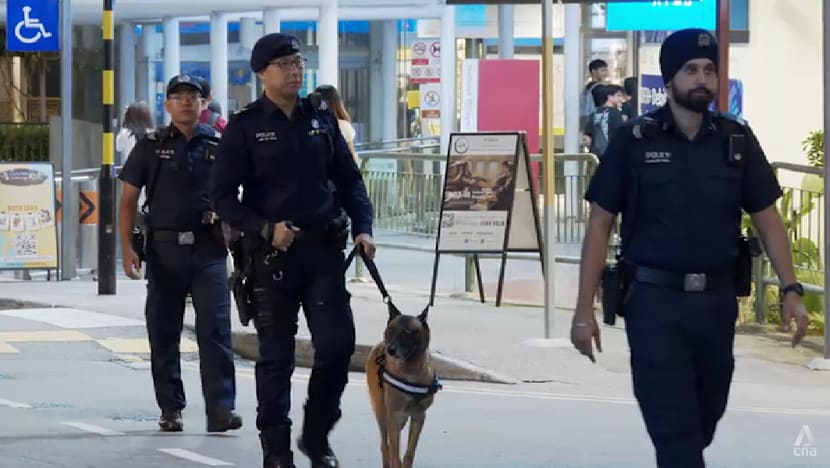 An inside look at the Singapore Police Force’s K-9 unit An inside look at the Singapore Police Force’s K-9 unit