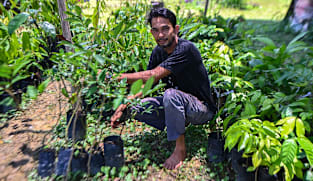 ‘Menikmati hidup’: Alasan warga Singapura berhenti kerja untuk jadi petani di Johor