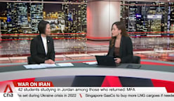 Minister of State for Foreign Affairs Gan Siow Huang on coordinating Middle East evacuation flights