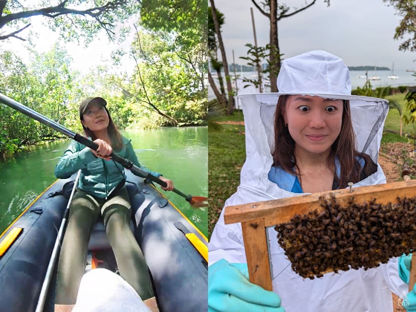 Kayaking, haunted tours and bees: An adventure-packed Changi staycation at this new farm stay