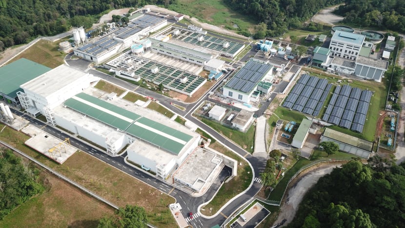 1 worker dead, 2 in ICU after inhaling toxic gas at Choa Chu Kang Waterworks: PUB