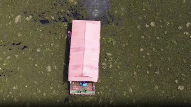 泰国游客租竹筏出游过夜 50人困水中央八小时