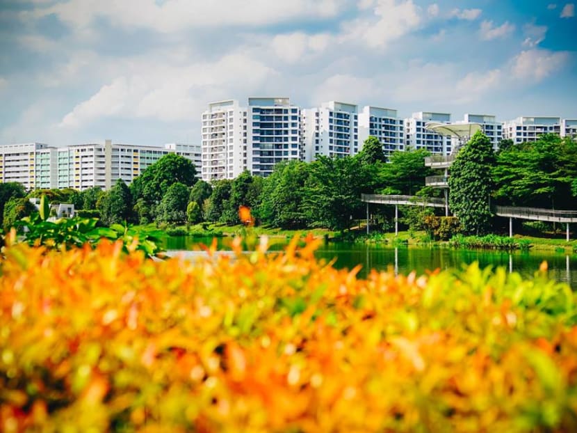 Freehold HDB flats with an Embedded Call Option (Feco) gives the Government the right, but not the obligation, to acquire the flats back any time after 99 years by paying freehold market value, says the author. Freehold HDB flats with an Embedded Call Option (Feco) gives the Government the right, but not the obligation, to acquire the flats back any time after 99 years by paying freehold market value, says the author.
