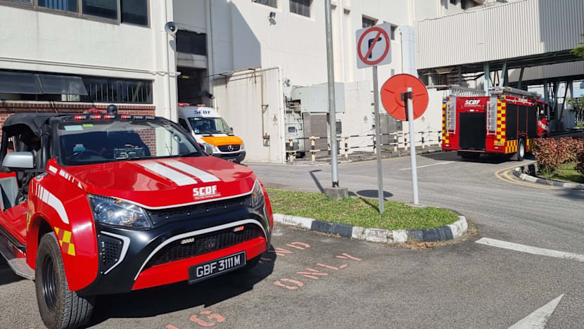 NEA fined S$230,000 over deaths of 2 employees in Tuas Incineration Plant explosion