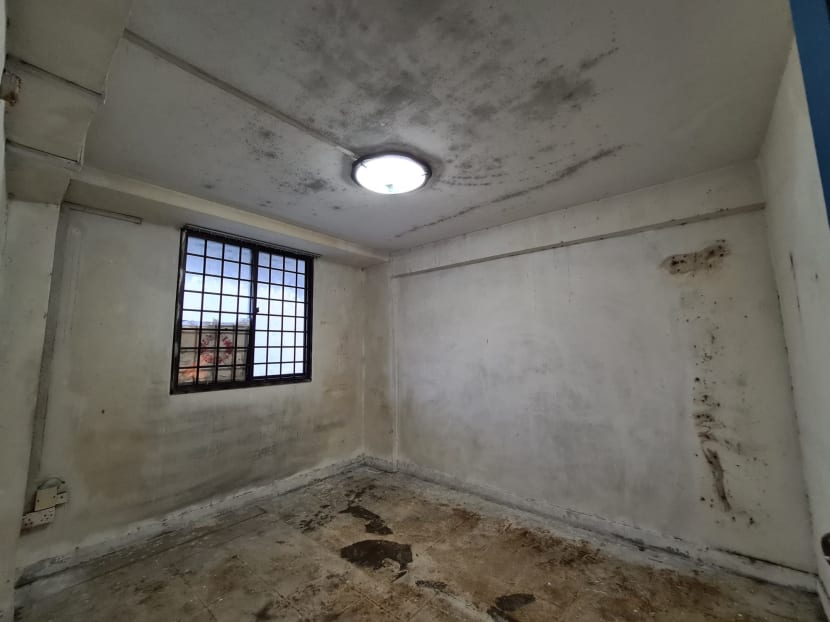 Mould problem at home? Here's what you can do to remove mould and how to prevent it from recurring