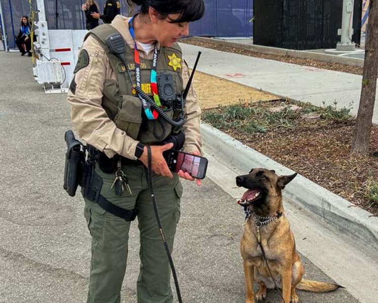 World Cup working dogs sniff out threats, send security signal