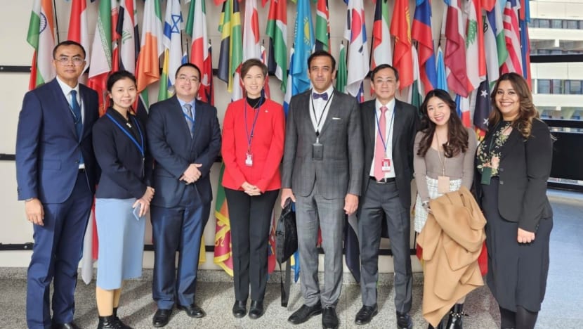 Singapore elected as member of UN's main drug policymaking body Singapore elected as member of UN's main drug policymaking body