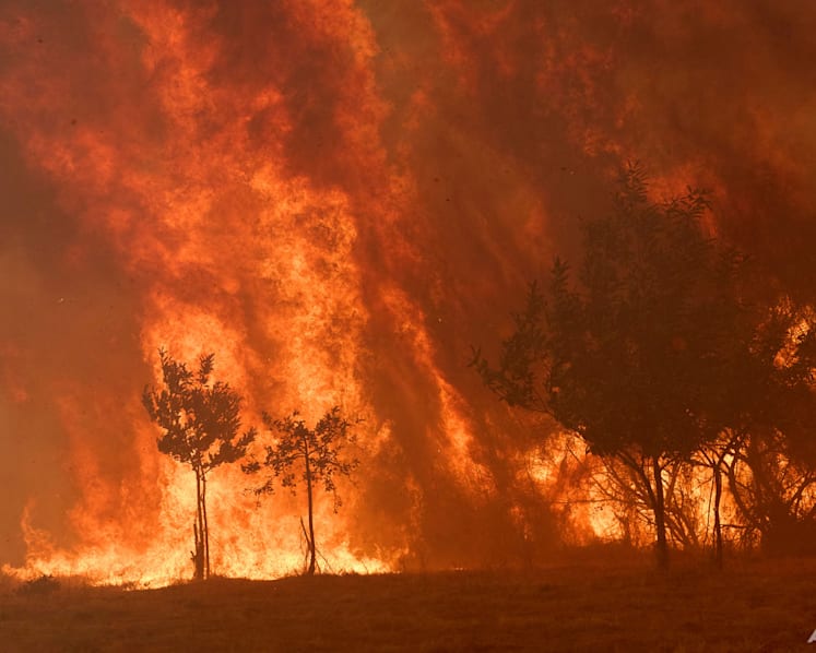 Spain to probe whether wildfire-hit towns drafted prevention plans