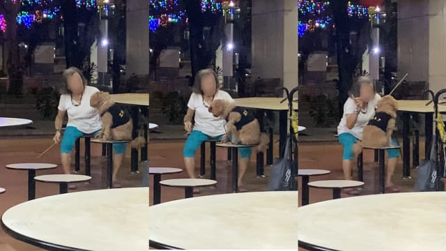 老妇挥藤条恐吓狗儿 防止虐待动物协会：她是惯犯