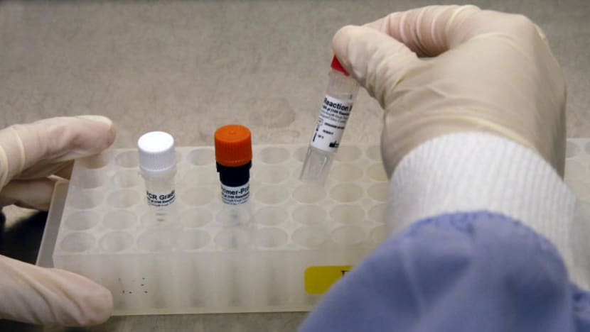 S’pore ‘has been preparing to fight Zika for two years’