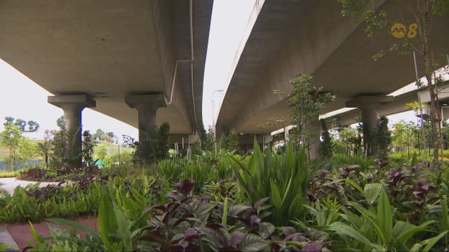前线追踪 | 高架桥下空间能变出什么新花样？