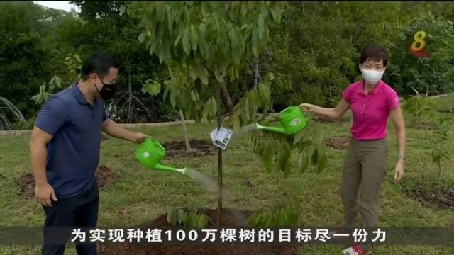 口试练习：乌敏岛开设沿海林园