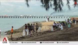 Coastal cleanups: Some cleanup groups in Singapore seeing more volunteers in the past year 
