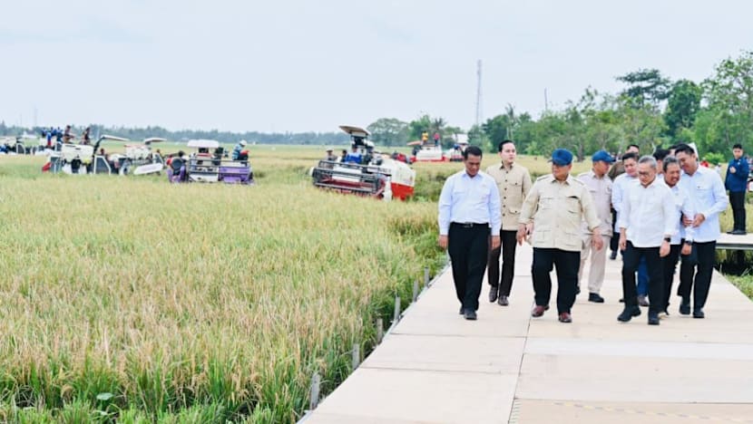  Apa dampak swasembada pangan Indonesia terhadap pasar global?