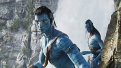 Related article image