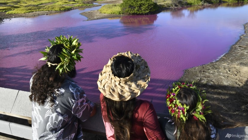 Wildlife refuge pond in Hawaii mysteriously turns bright pink, drought may be to blame Wildlife refuge pond in Hawaii mysteriously turns bright pink, drought may be to blame