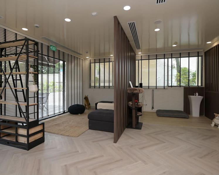 Singapore opens first dedicated facility for animal behavioural rehabilitation