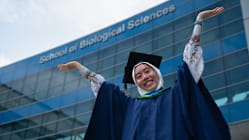 Related article image