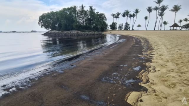 圣淘沙东海岸拉柏多三处海滩将暂时关闭或限制活动