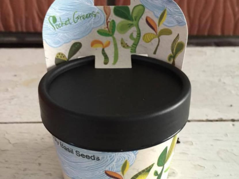 The best DIY gardening kits to get