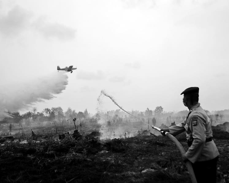 How Indonesia is stepping up fight against climate change