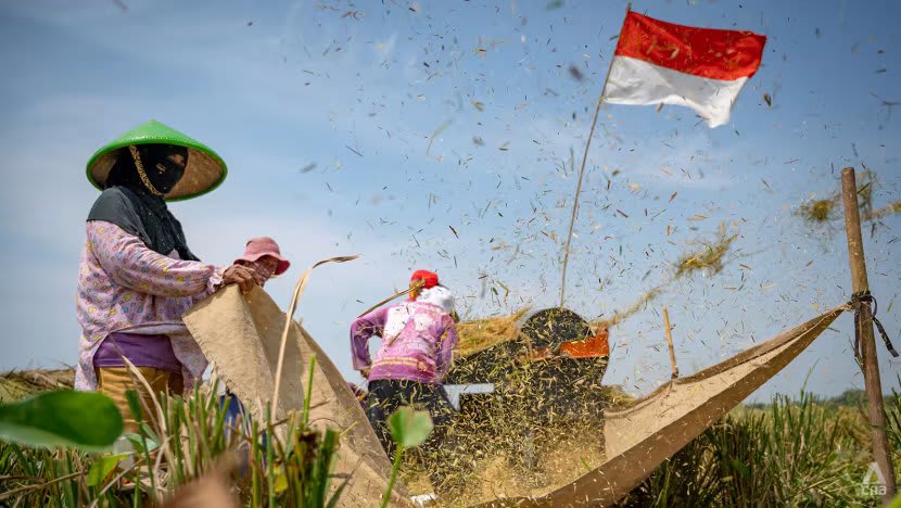 Indonesia lirik padi hibrida China pada proyek sejuta hektare sawah, akankah swasembada terwujud? Indonesia lirik padi hibrida China pada proyek sejuta hektare sawah, akankah swasembada terwujud?