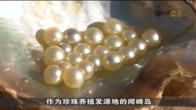 气候变迁和科技发展 日本三重县珍珠行业渐渐没落