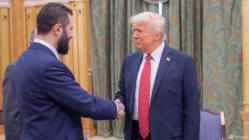 Related article image