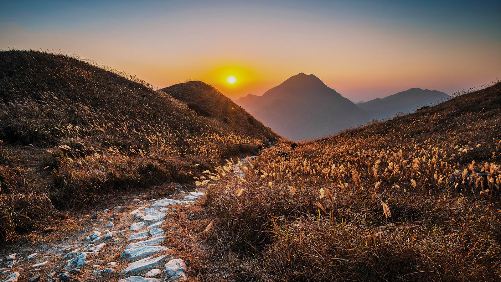 From lush mountains and scenic trails to charming islands and a diverse coastline, the Fragrant Harbour offers endless adventures for explorers