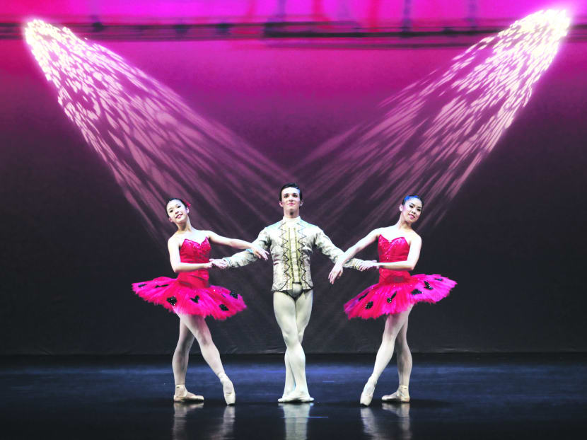 New challenges for Singapore Dance Theatre as it enters its 25th year