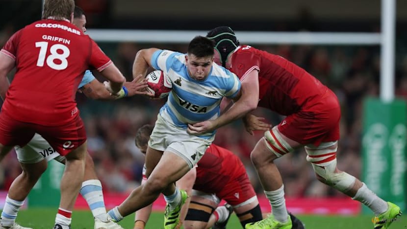 Argentina snuff out Welsh hopes of debut win for new coach