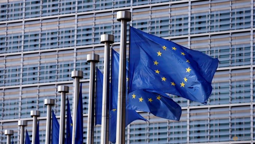 EU denies picking on US tech giants, says US also tackling monopolisation